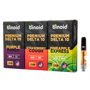 Binoid DELTA 10 THC VAPE 1G